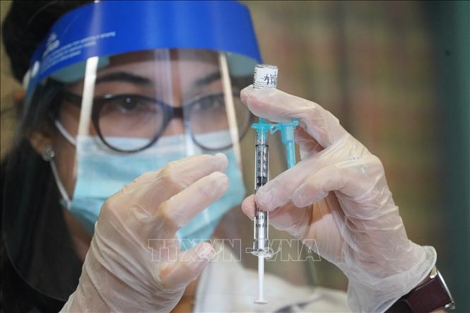Nhân viên y tế chuẩn bị vaccine COVID-19 của Hãng dược phẩm Pfizer tại Trung tâm y tế ở New York, Mỹ. Ảnh: AFP/TTXVN