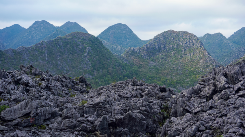 Cao nguyên đá Đồng Văn. Ảnh: Wiki