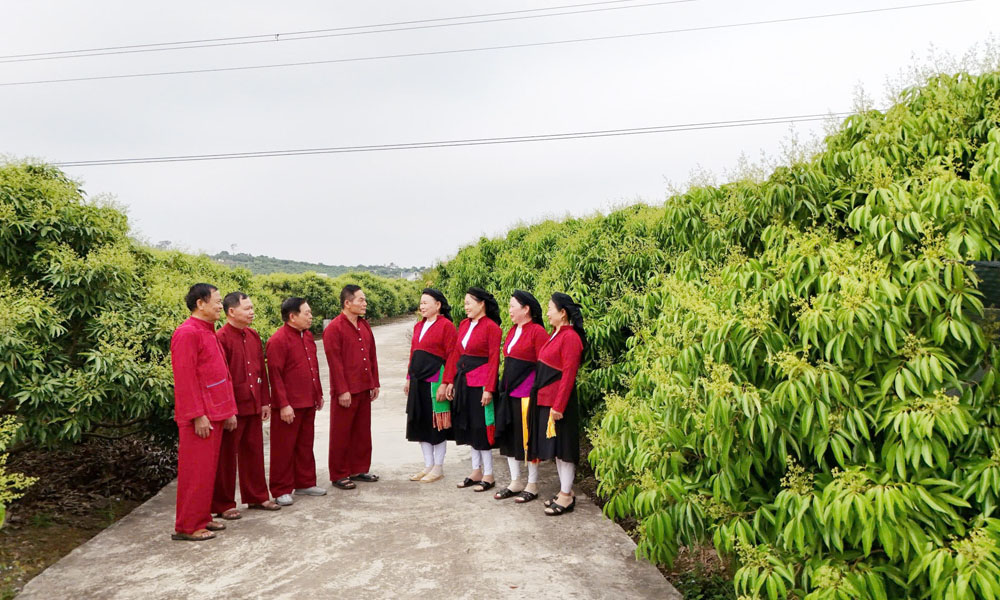 Soọng cô là hình thức dân ca trữ tình, độc đáo, gắn liền với đời sống tinh thần của đồng bào dân tộc Sán Dìu ở các phường, xã: Phượng Sơn, Chũ, Lục Ngạn, Kiên Lao, Nam Dương. Soọng cô có nghĩa là “ca hát”. Đồng bào dân tộc Sán Dìu hát vào dịp Tết đến Xuân về, mừng sinh nhật, đám cưới, lên nhà mới, lúc mùa vụ nông nhàn, khi gặp mặt hoặc đến chơi nhà nhau; không giới hạn về không gian.