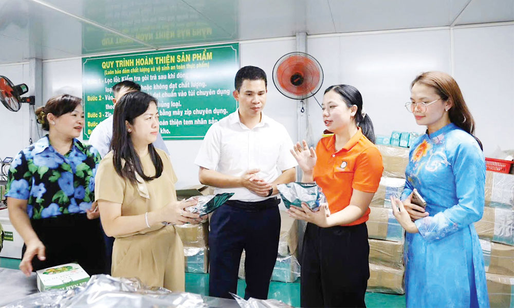 Lãnh đạo Hội Liên hiệp Phụ nữ thành phố và xã Xuân Cẩm thăm, động viên mô hình phụ nữ khởi nghiệp trên địa bàn.