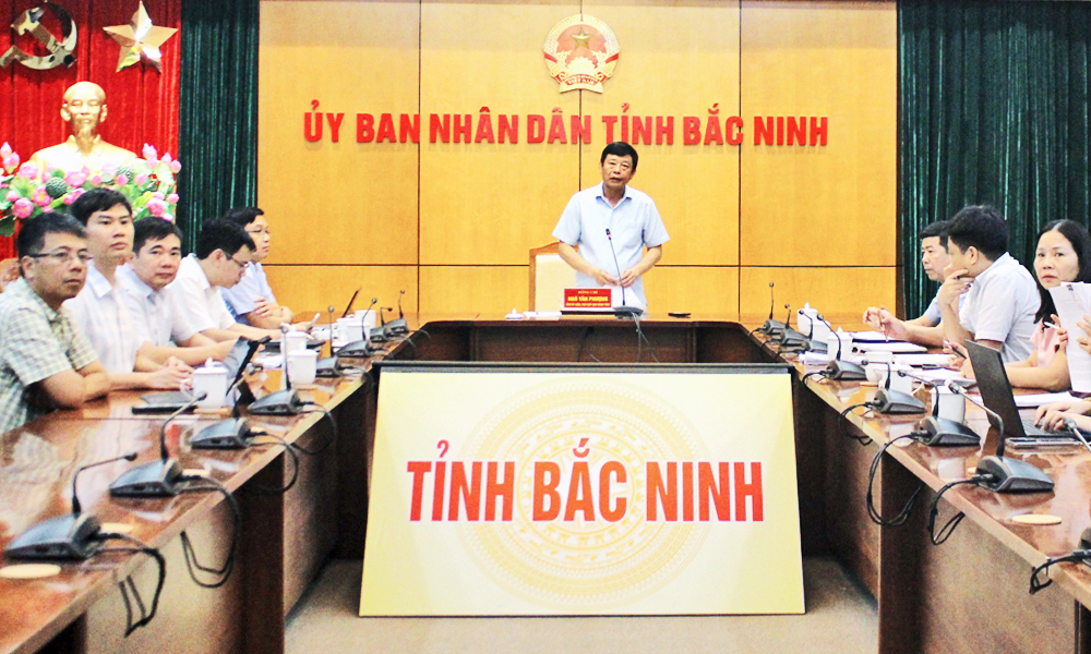 Đồng chí Ngô Tân Phượng phát biểu chỉ đạo sau khi kết thúc hội nghị trực tuyến.