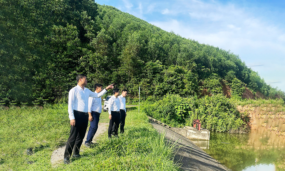 Lãnh đạo xã Đại Sơn kiểm tra, đánh giá tiềm năng phát triển kinh tế xanh tại khu vực Hồ Lân, thôn Đá Cối.