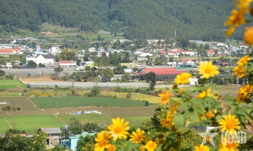 Vùng quê Lâm Đồng bên dòng sông Đa Nhim trong nắng cuối thu.