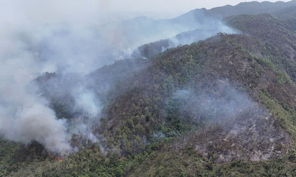 Một số địa phương trong tỉnh nằm trong vùng cảnh báo nguy cơ xảy ra cháy rừng.