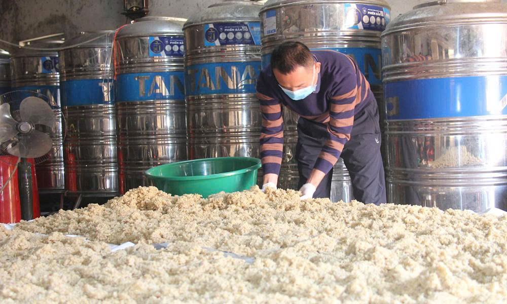 Một công đoạn vào men trong quy trình sản xuất rượu Thắng Mai.