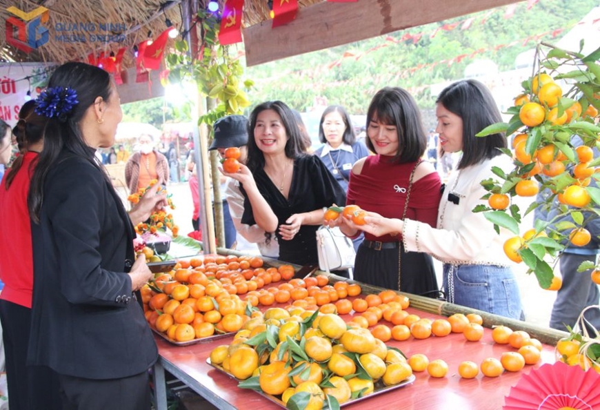 Các gian hàng bán cam Vân Đồn thu hút đông du khách thưởng thức và mua về làm quà. Ảnh: baoquangninh.vn