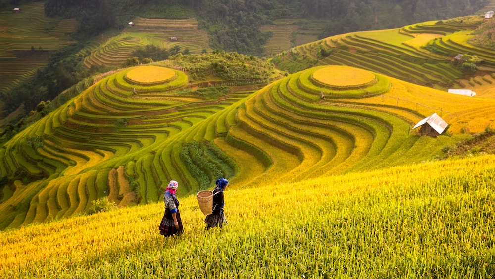 Sa Pa gây ấn tượng với các dãy núi trùng điệp, ruộng bậc thang trải dài. Ảnh: Internet