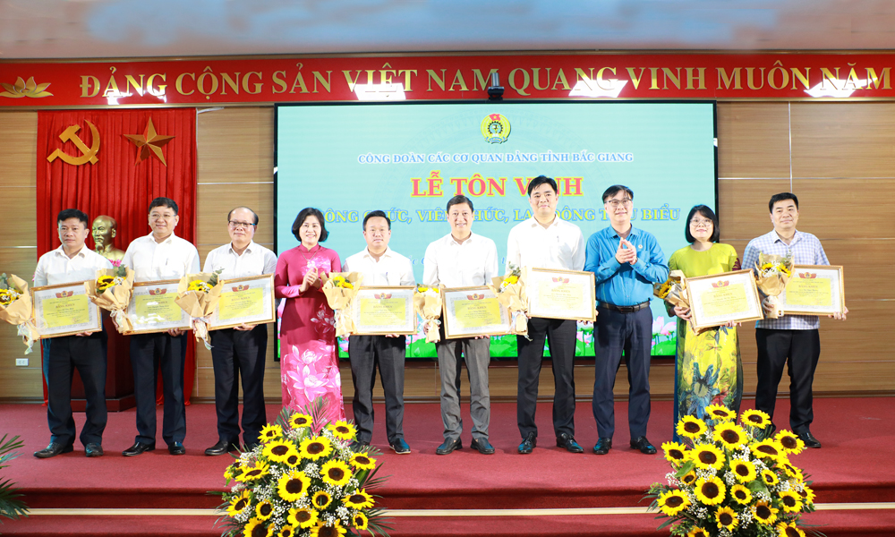 Lãnh đạo Liên đoàn Lao động tỉnh và Công đoàn các Cơ quan Đảng tỉnh trao Bằng khen của Liên đoàn Lao động tỉnh cho các cá nhân tiêu biểu.