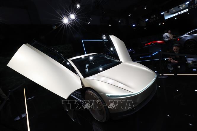 Ảnh minh họa: THX/TTXVN