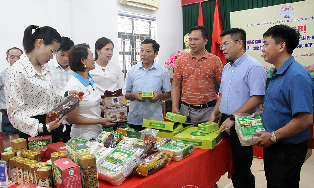 Các đại biểu tham quan một số sản phẩm OCOP, sản phẩm đặc trưng của các HTX trên địa bàn tỉnh Bắc Giang.