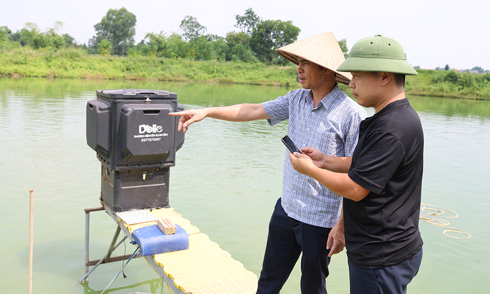 Kiểm tra mô hình nuôi cá rô phi kết hợp của gia đình ông Nguyễn Văn Linh ở thôn Lý, xã Tân Yên