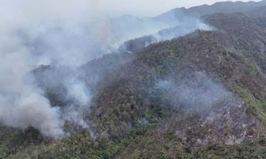 Một số địa phương trong tỉnh nằm trong vùng cảnh báo nguy cơ xảy ra cháy rừng.