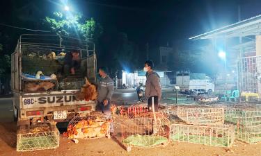 Chợ gà đêm ở xã Liên Sơn (Tân Yên).