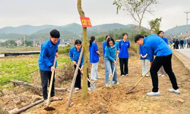 Cán bộ, đoàn viên phường Yên Dũng hưởng ứng Tết trồng cây Xuân Bính Ngọ năm 2026.
