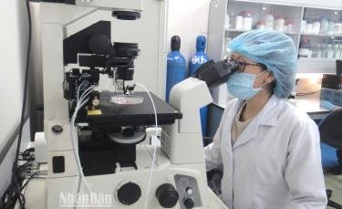 Hoạt động nghiên cứu khoa học tại Đại học Quốc gia Thành phố Hồ Chí Minh.