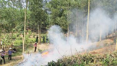 Thực hiện nghiêm các biện pháp phòng cháy, chữa cháy rừng nhằm giảm thiểu số vụ và diện tích thiệt hại

do cháy rừng gây ra. Ảnh minh họa.